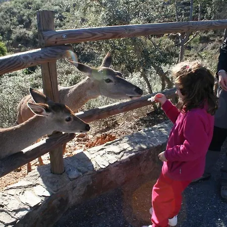 Complejo Turistico Canadas Casas De Campo- Actividades Gratuitas Todos Fines De Semana Εξοχικό σπίτι