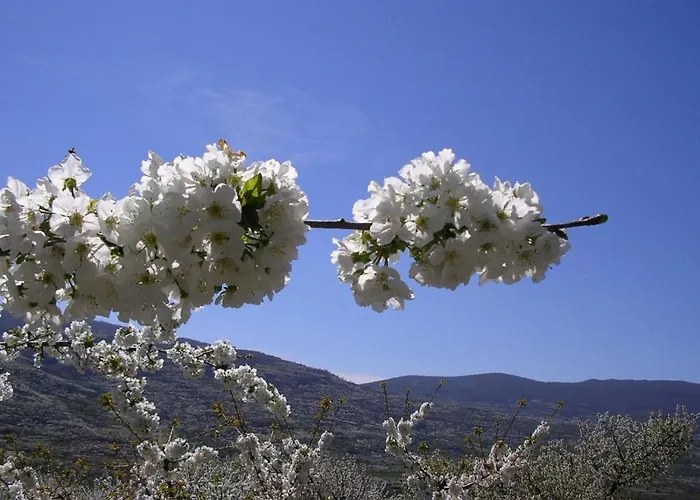 Complejo Turístico Cañadas Casas De Campo- Actividades Gratuitas Todos Fines De Semana Banos De Montemayor