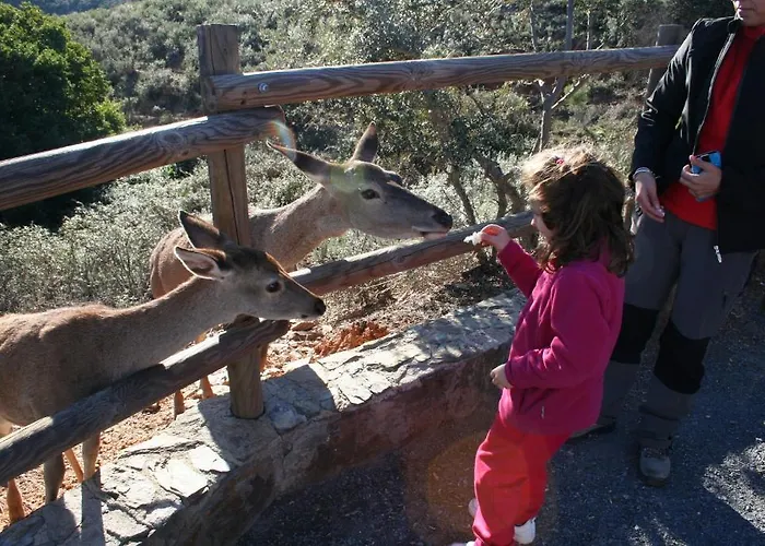 Complejo Turístico Cañadas Casas De Campo- Actividades Gratuitas Todos Fines De Semana Casa rural
